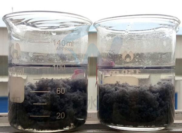 印染厂污水处理效果